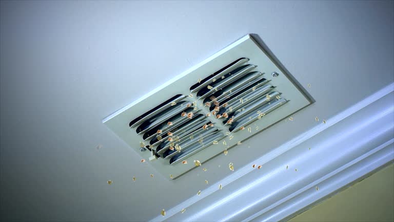 Best Air Duct Cleaning Near Me  in Eagle, CO