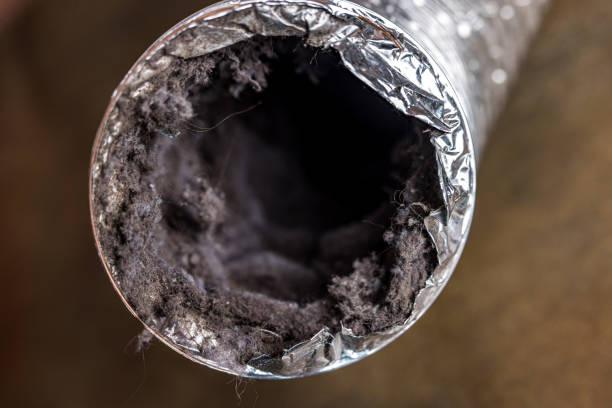 Best Air Duct Cleaning Company Near Me  in Eagle, CO